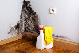 Professional Mold Inspection in Castle Pines, CO